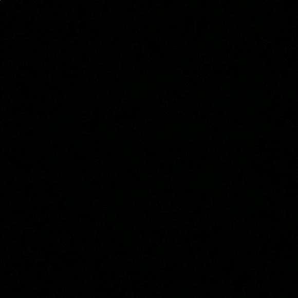 Meet your Posher, Piper - Picture 1 of 1